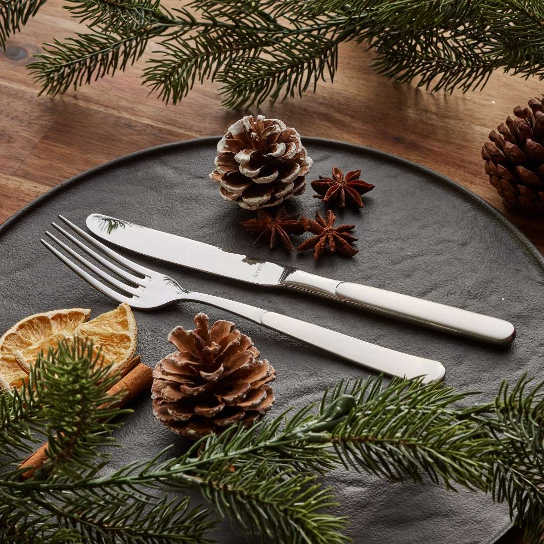 SATINA Besteckset 60-teilig