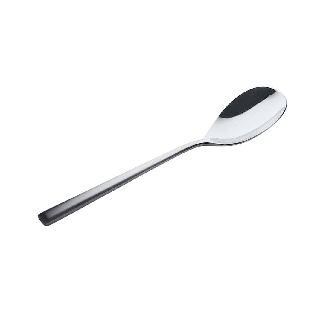VIVENDI salad spoon