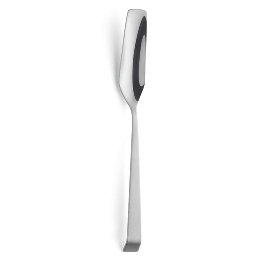 BUFFET SELECTION serving spoon narrow