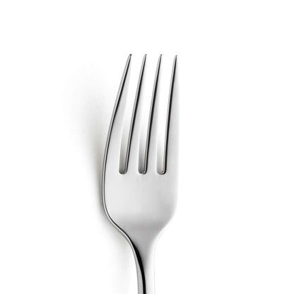 NOVA dinner fork