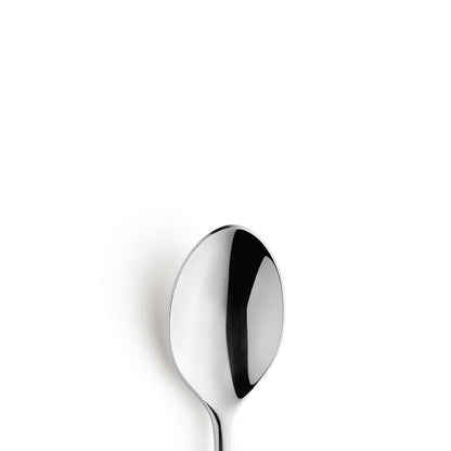 NOVA coffee spoon