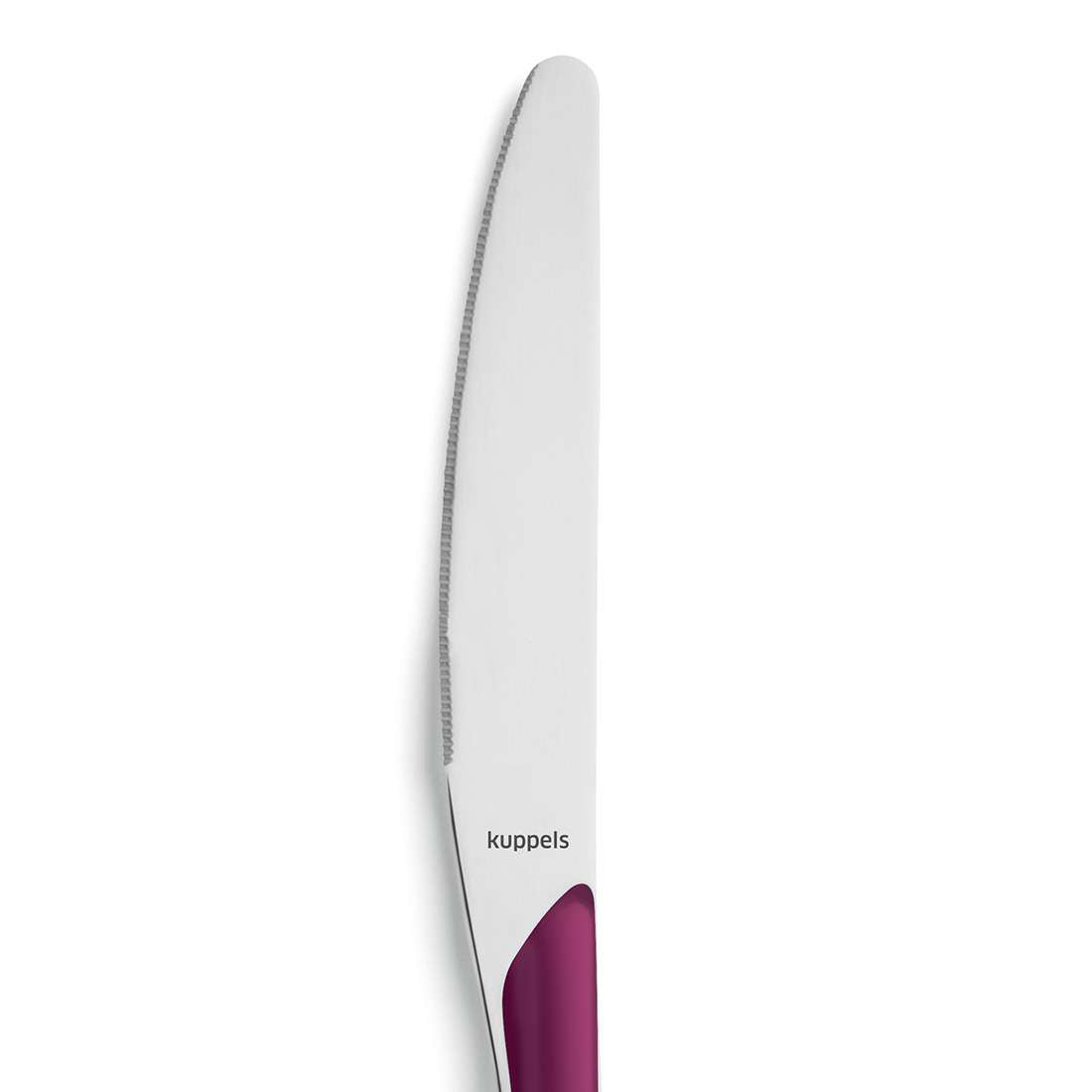 PRISMA dinner knife full handle wildberry