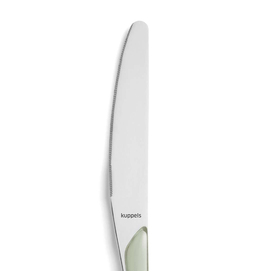 PRISMA dinner knife full handle sage green