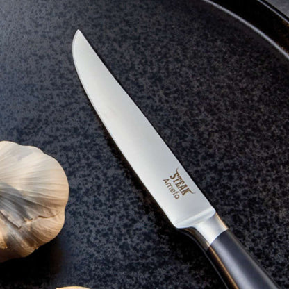 TENDERLOIN steak knife full handle black