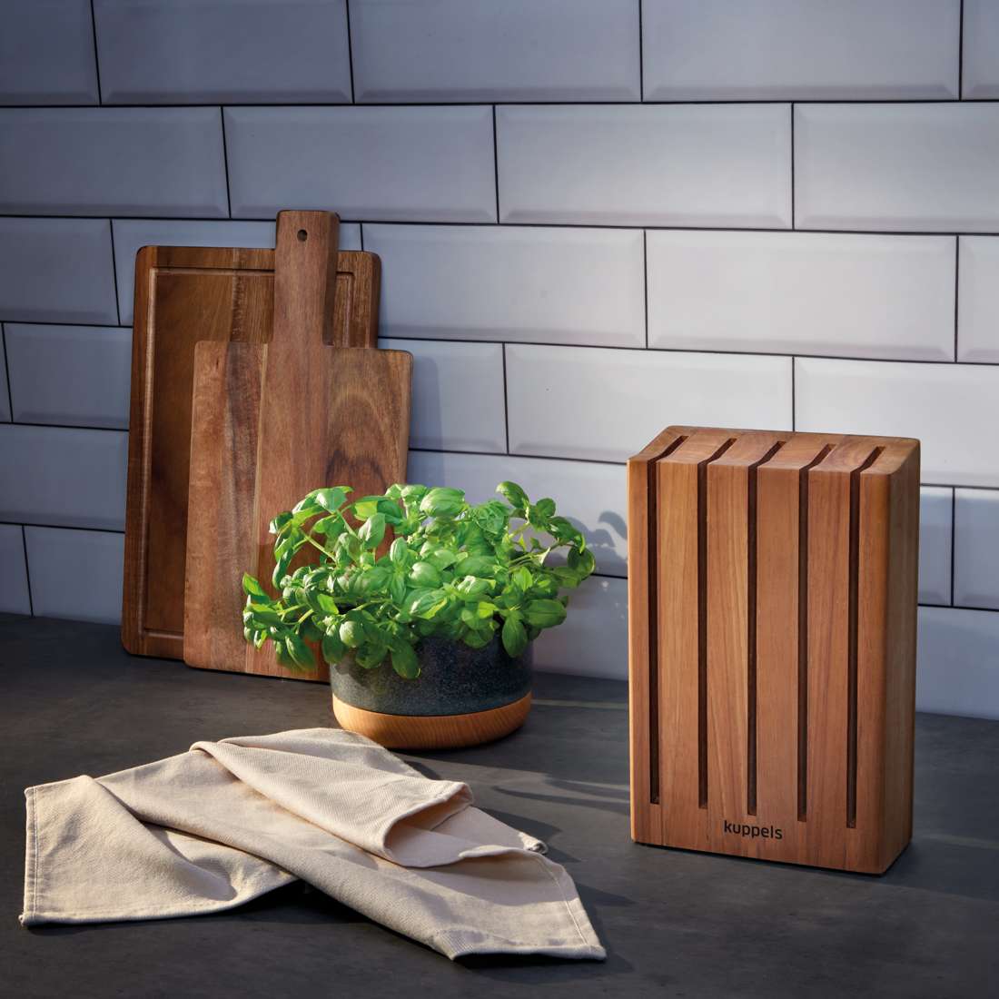 PRESTIGE magnetic knife block