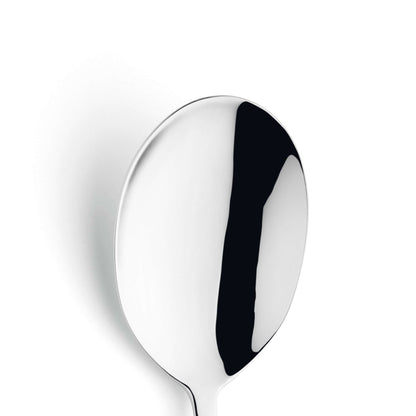 RHODOS serving spoon