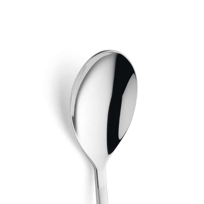 SWING appetizer/dessert spoon