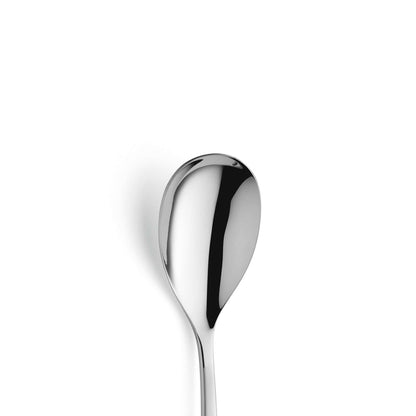 SWING serving spoon