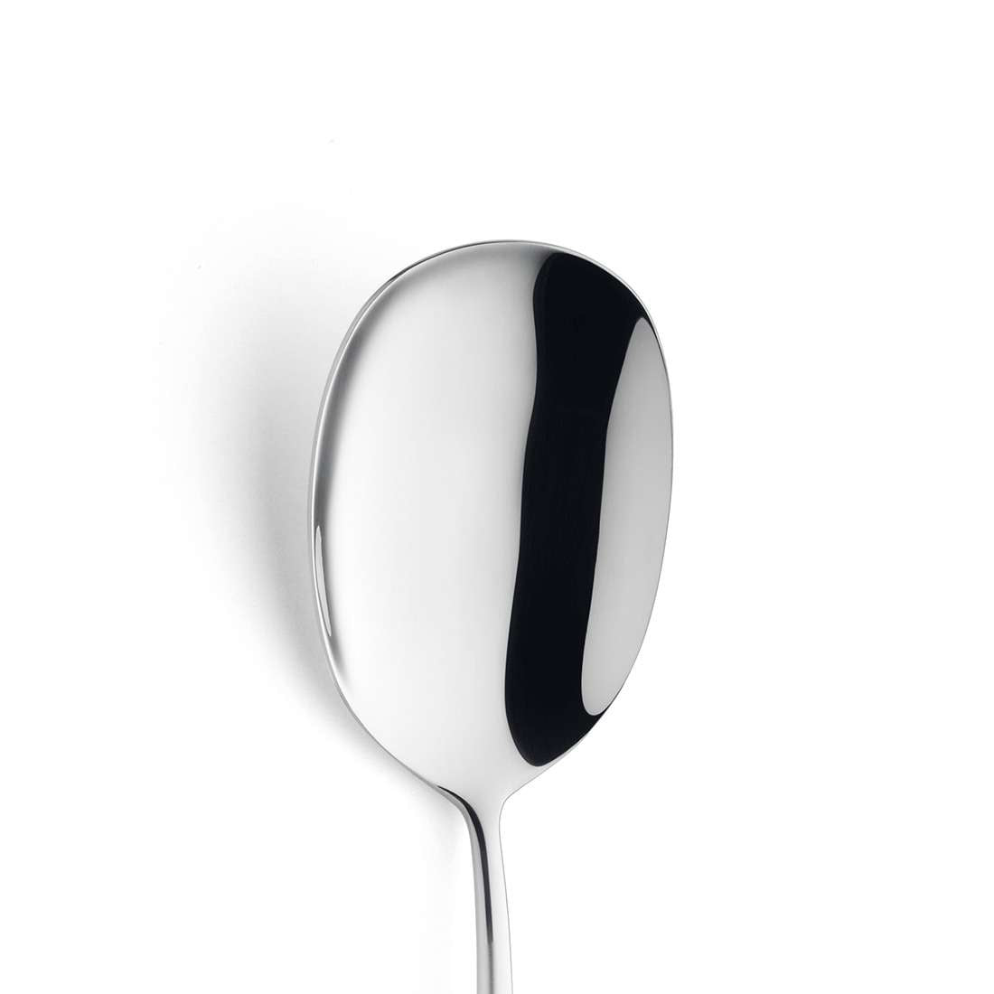 BLUES serving spoon