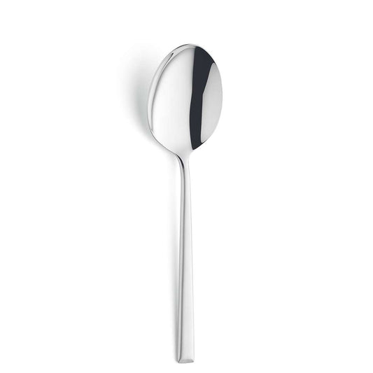 VIVENDI serving spoon