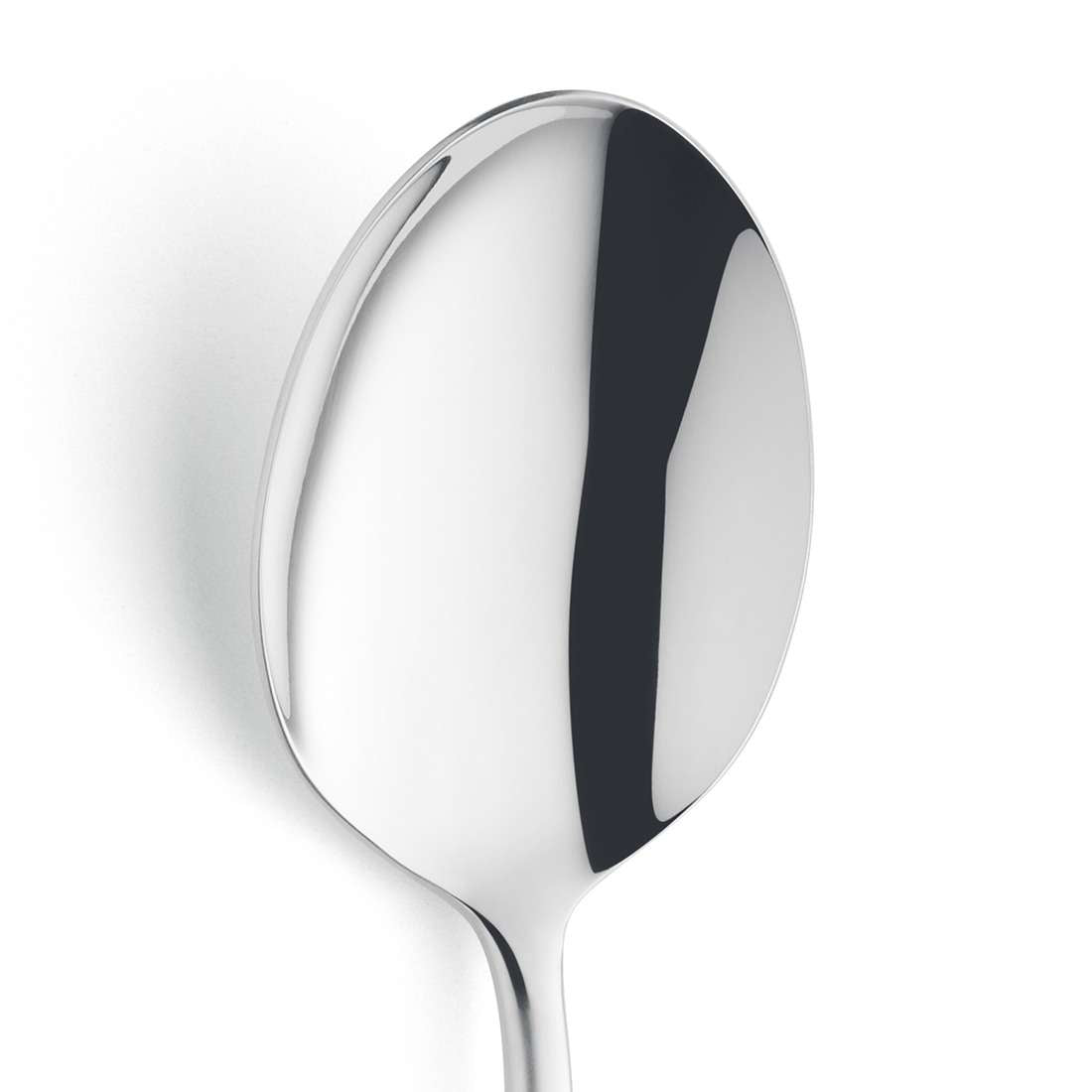 VIVENDI serving spoon