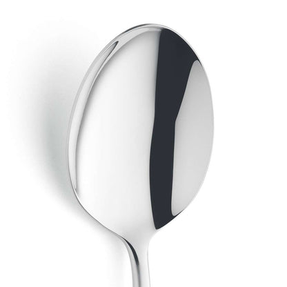 VIVENDI serving spoon