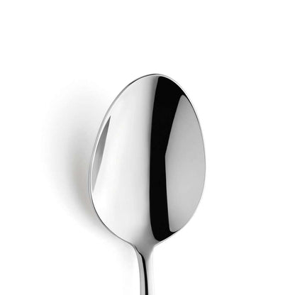 VIVENDI dinner spoon