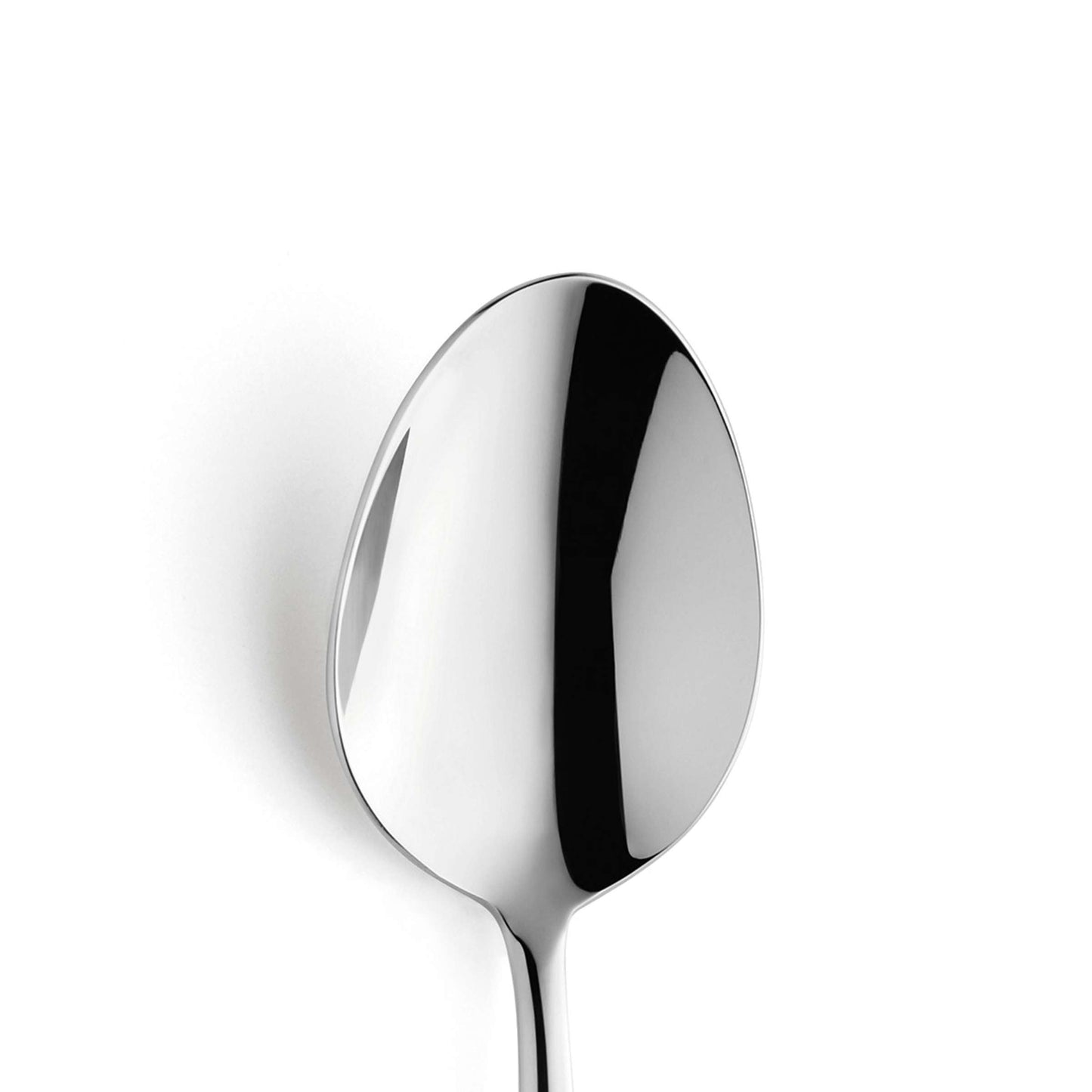 VIVENDI dinner spoon