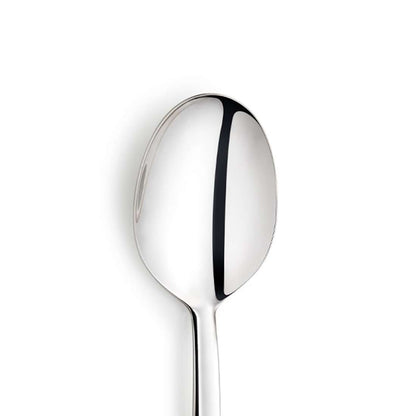 AURA serving spoon