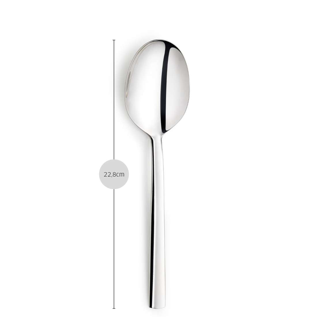 AURA serving spoon