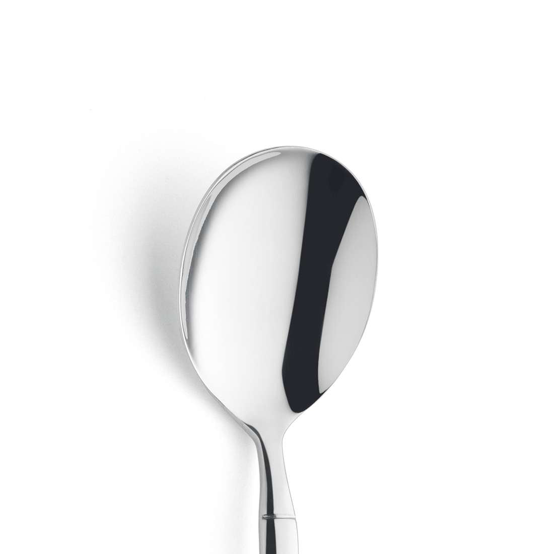 BALI serving spoon