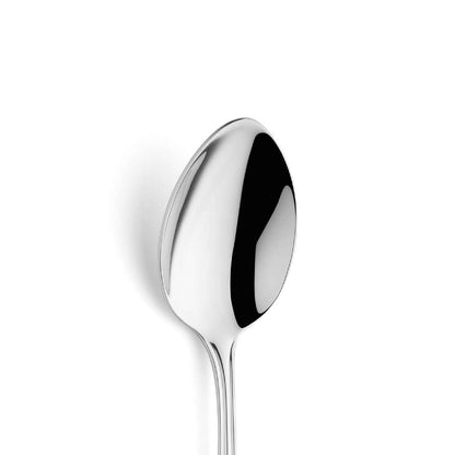 CHIPPENDALE dinner spoon