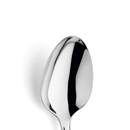 CHIPPENDALE serving spoon