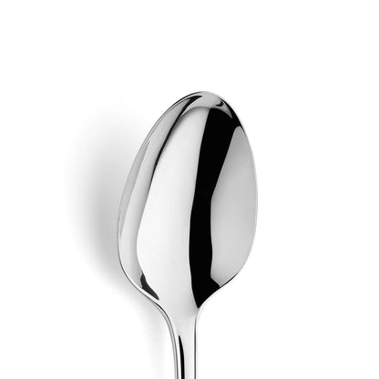 CHIPPENDALE salad spoon