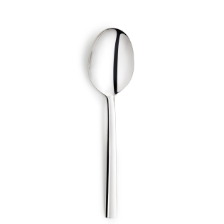 AURA Serving Spoon