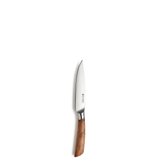BLAZE Allzweckmesser
